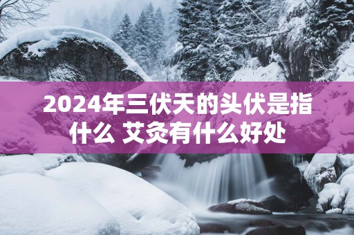 2025年三伏天的头伏是指什么 艾灸有什么好处