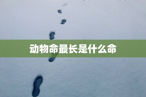 动物命最长是什么命