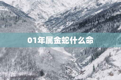 01年属金蛇什么命
