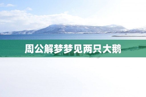 周公解梦梦见两只大鹅