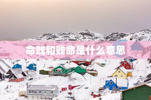 命贱和贱命是什么意思