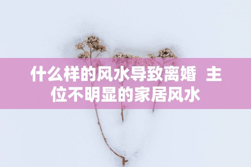 什么样的风水导致离婚  主位不明显的家居风水