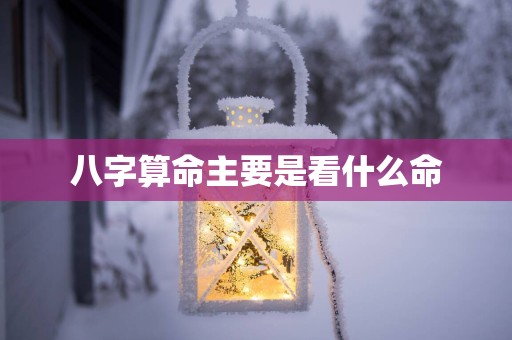 八字算命主要是看什么命