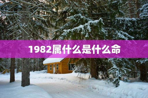 1982属什么是什么命