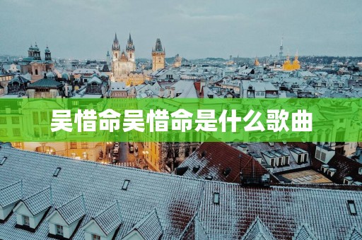 吴惜命吴惜命是什么歌曲