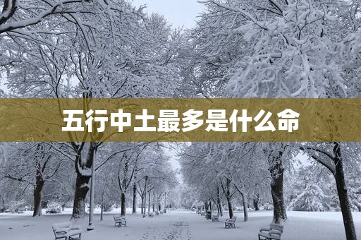 五行中土最多是什么命