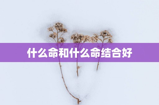 什么命和什么命结合好