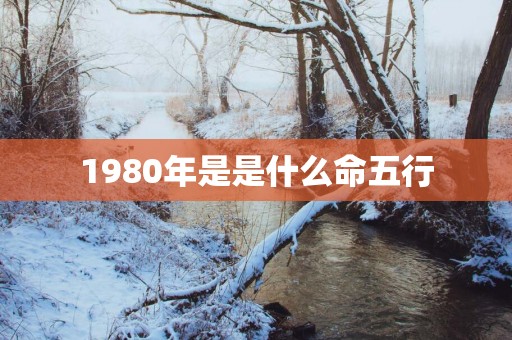 1980年是是什么命五行