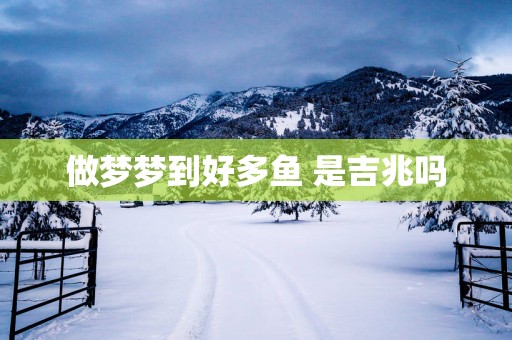 做梦梦到好多鱼 是吉兆吗