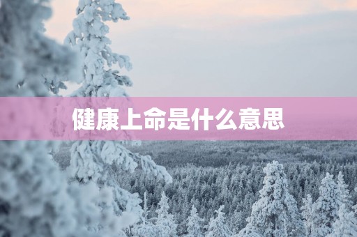 健康上命是什么意思