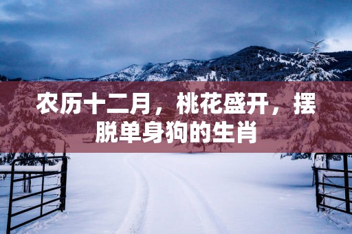 农历十二月，桃花盛开，摆脱单身狗的生肖