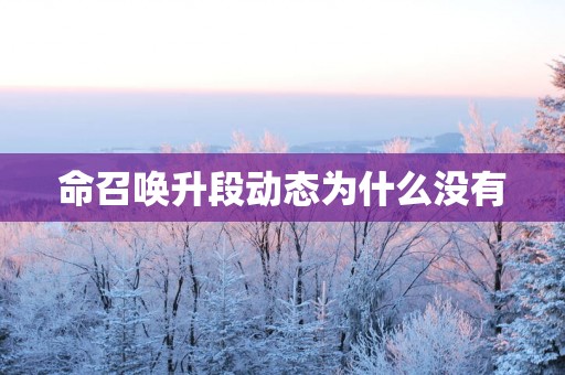 命召唤升段动态为什么没有