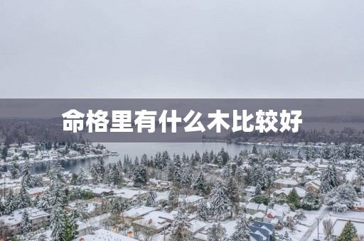 命格里有什么木比较好