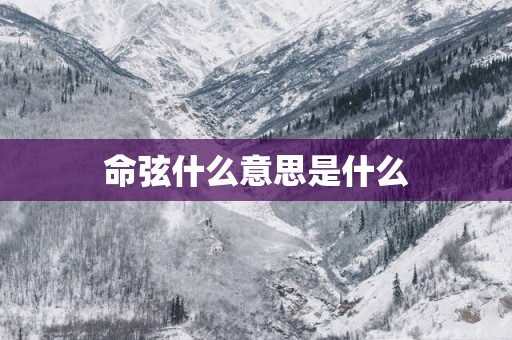 命弦什么意思是什么