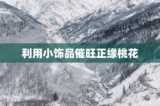 利用小饰品催旺正缘桃花