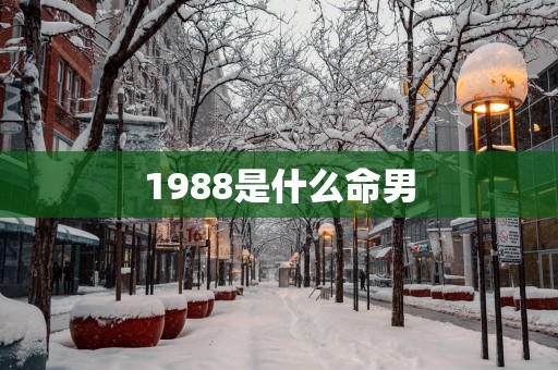 1988是什么命男