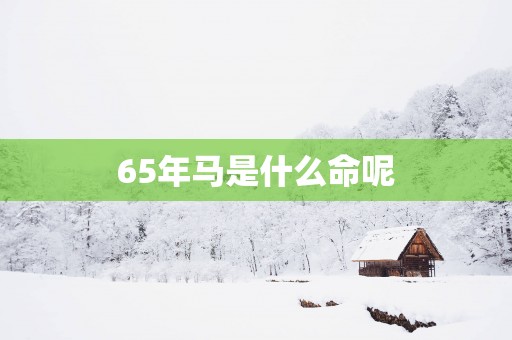 65年马是什么命呢