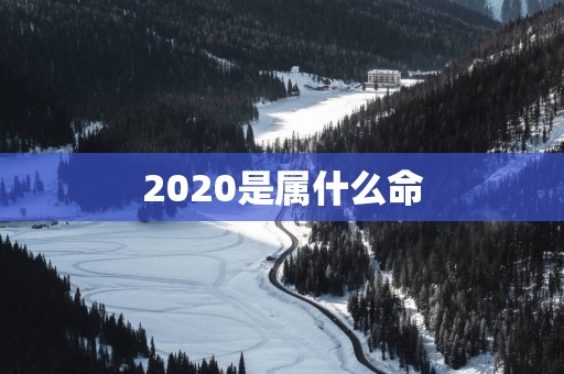 2025是属什么命