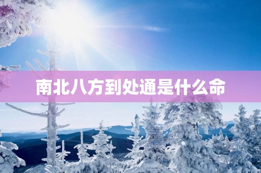 南北八方到处通是什么命