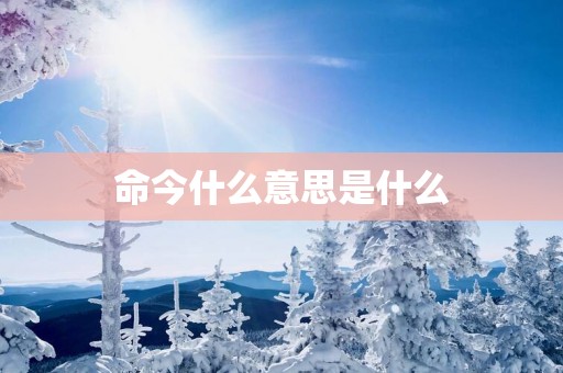 命今什么意思是什么