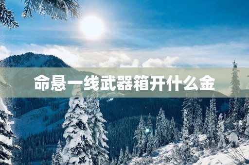 命悬一线武器箱开什么金