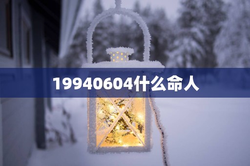19940604什么命人