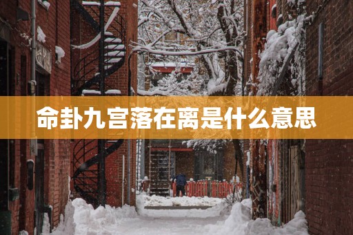 命卦九宫落在离是什么意思