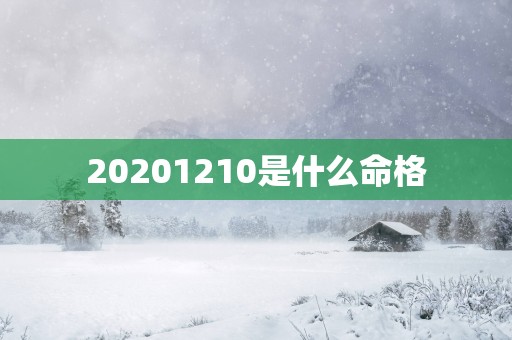 20251210是什么命格