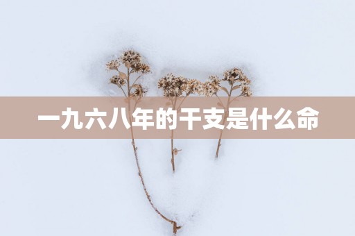 一九六八年的干支是什么命