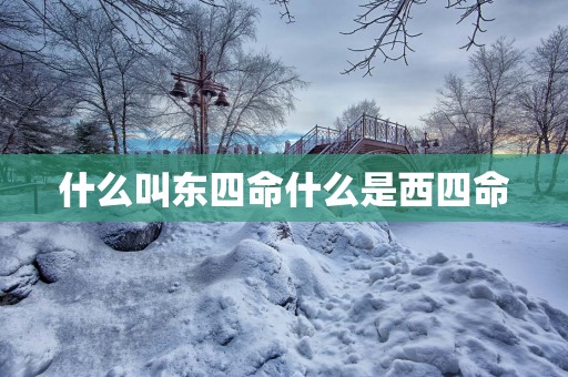 什么叫东四命什么是西四命