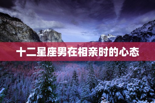 十二星座男在相亲时的心态