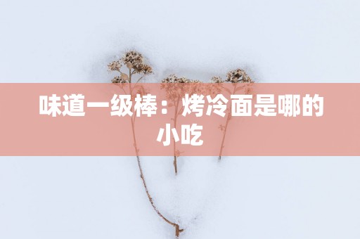 味道一级棒：烤冷面是哪的小吃