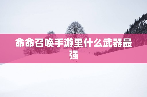 命命召唤手游里什么武器最强