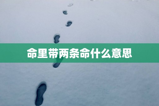 命里带两条命什么意思