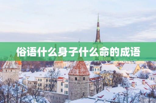 俗语什么身子什么命的成语