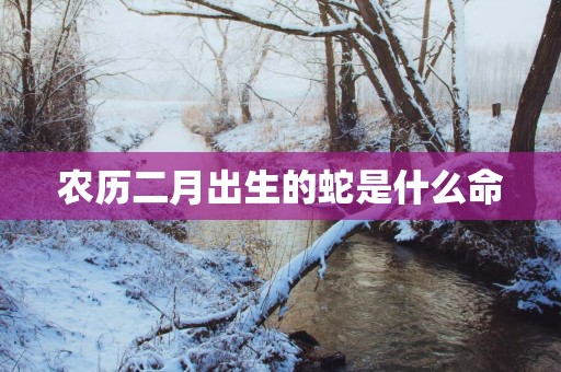 农历二月出生的蛇是什么命