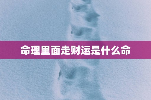 命理里面走财运是什么命