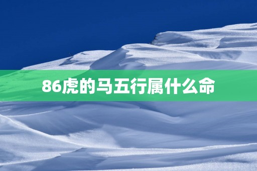 86虎的马五行属什么命