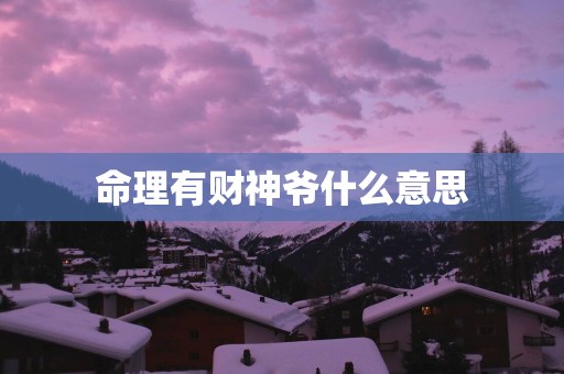 命理有财神爷什么意思