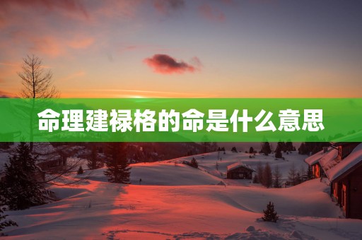 命理建禄格的命是什么意思