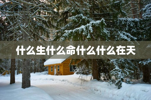 什么生什么命什么什么在天