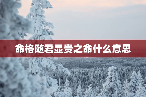 命格随君显贵之命什么意思