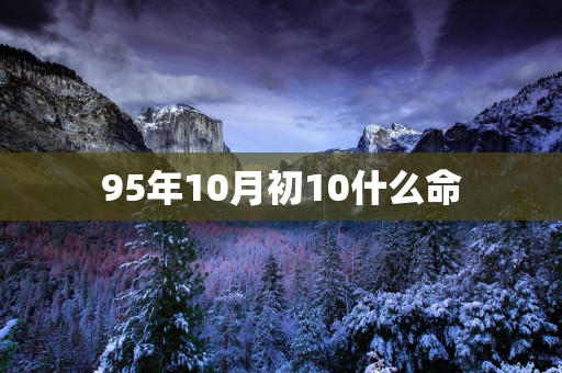 95年10月初10什么命