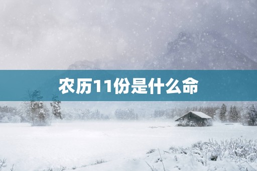 农历11份是什么命