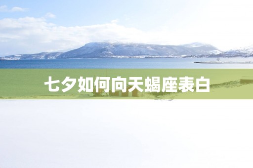 七夕如何向天蝎座表白