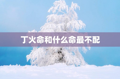 丁火命和什么命最不配