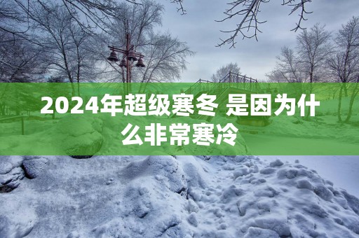 2025年超级寒冬 是因为什么非常寒冷