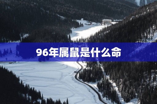 96年属鼠是什么命