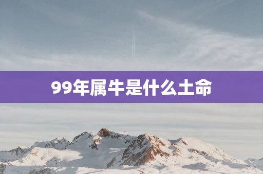 99年属牛是什么土命