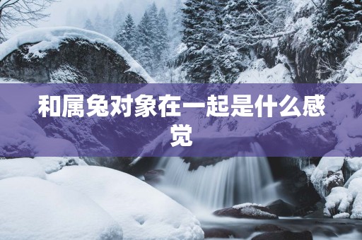 和属兔对象在一起是什么感觉